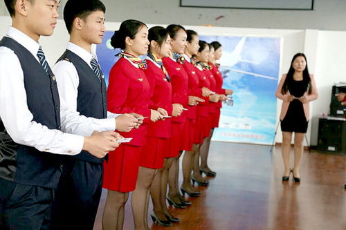 民航服务礼仪与会展服务 专业规范与优雅形象的融合