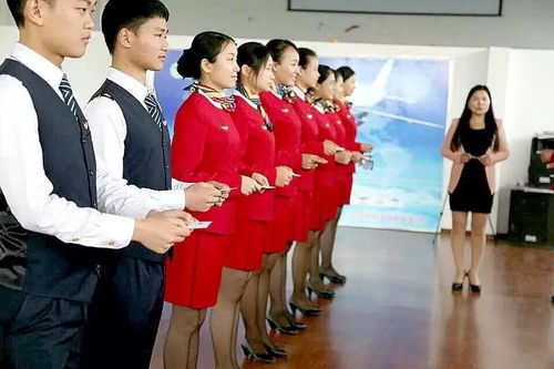 服务礼仪实战训练指南 从理论到行动的干货宝典